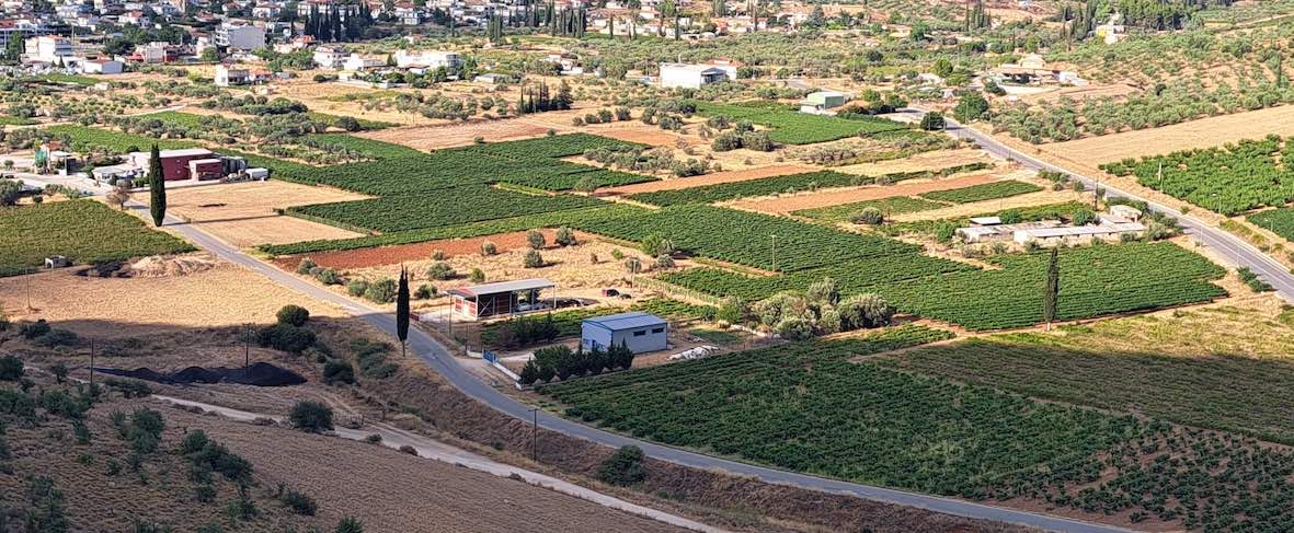 Nemea Vigneti